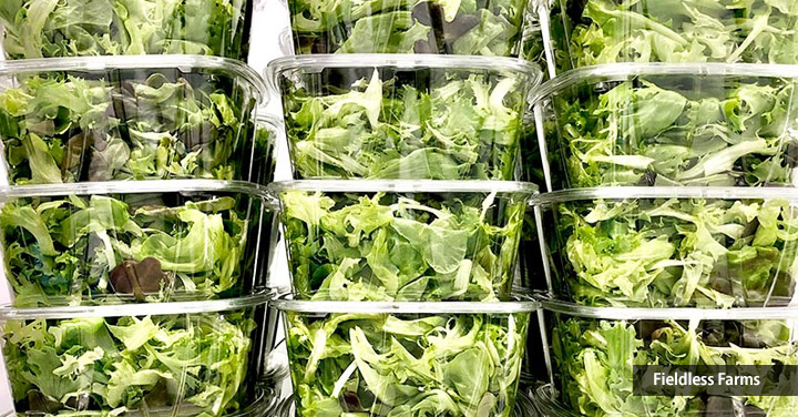 lettuce from fieldless farms