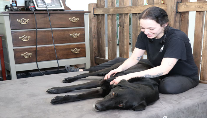 Sophie and dog doing animal rehabilitation